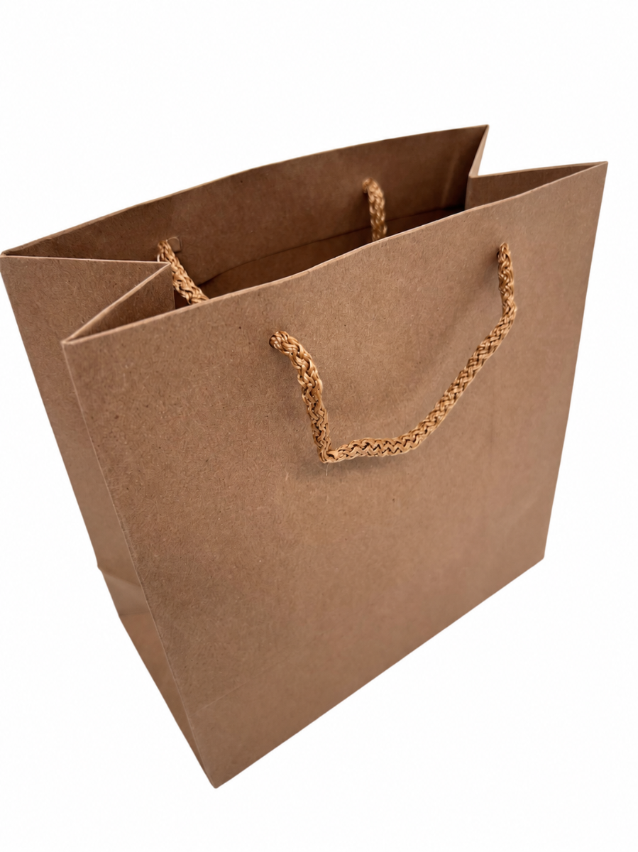 Large Kraft gift bag