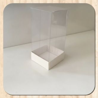 Bottom Cardboard Box with a Plastic Lid - 1.97" x 1.97" x 3.54"