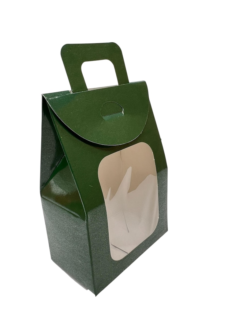 Green window gift box with handle